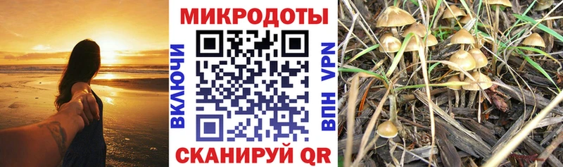 Псилоцибиновые грибы прущие грибы  Элиста 